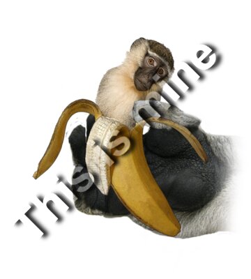 bananamonkey